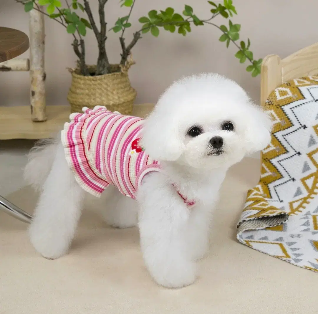 thumbnail-7